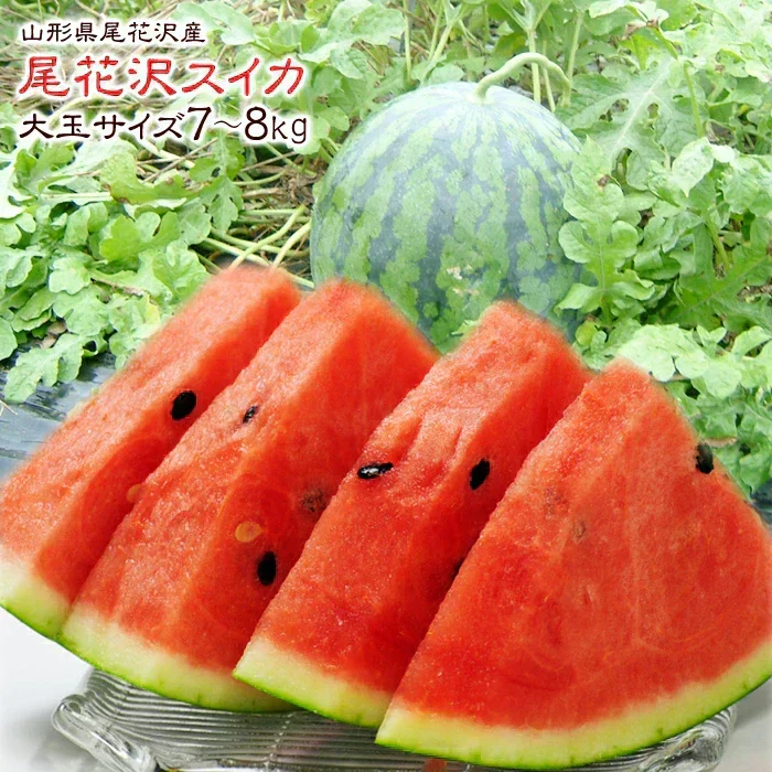 【7月下旬-8月下旬頃からご注文順次】山形県産 尾花沢すいか 1玉 (秀品 1玉 約7-8kg前後)大玉スイカ すいか スイカ 西瓜 大玉 夏ギフト お中元 暑中見舞い ギフト 贈り物 プレゼント 人気 果物 フルーツ 山形県 お取り寄せ