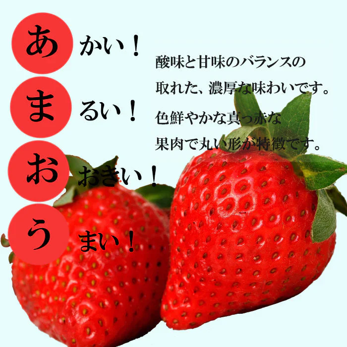 2パック 福岡産 いちご あまおう デラックス