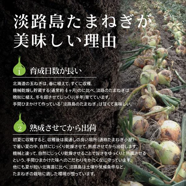 淡路島 たまねぎスープ 30包 食品 お試し オニオン 玉ねぎ タマネギ スープ 調味料 送料無料