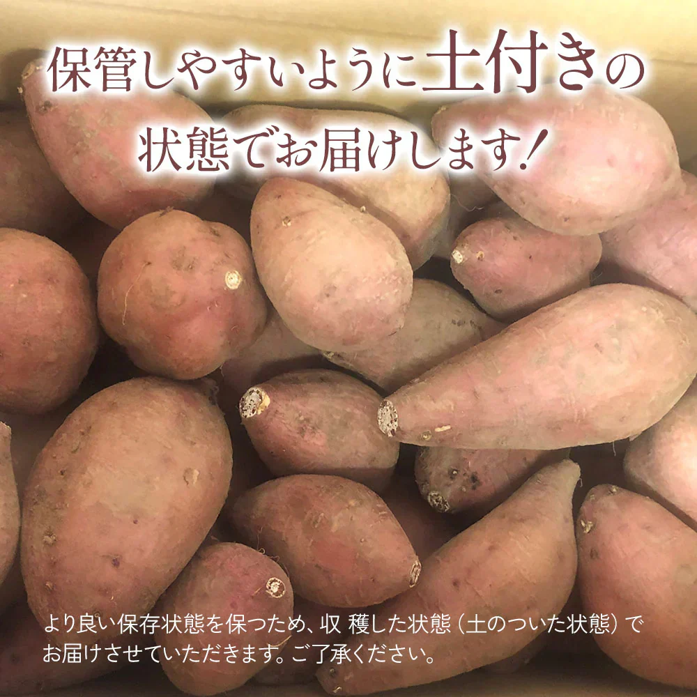 安納芋 5kg 安納いも 安納イモ 産地直送 産直 土付き さつまいも さつま芋 薩摩芋 焼きいも 焼き芋 南九州産 FJK-002