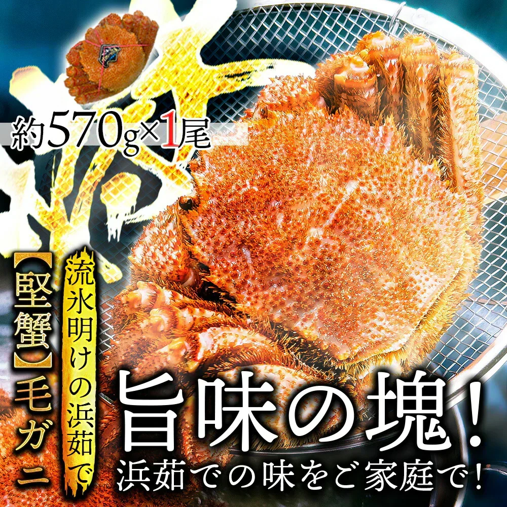 20%OFF★北海道産 浜茹で毛蟹 約570g×1尾【本州～九州エリア送料無料】