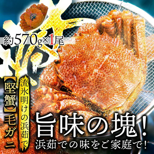 20%OFF★北海道産 浜茹で毛蟹 約570g×1尾【本州～九州エリア送料無料】