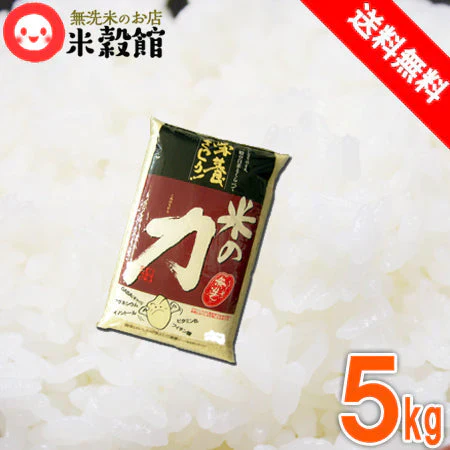 5kg 無洗米 一般の白米より栄養ぎっしり米の力　九州産 米 「米の力」5kg1個