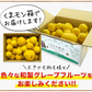 河内晩柑 送料無料 1.5kg 和製 グレープフルーツ 旬 の フルーツ 果物 みかん 訳あり 夏文旦 晩柑 宇和ゴールド ジューシーみかん 熊本県産 《1-5営業日以内に発送予定(土日祝日除く)》