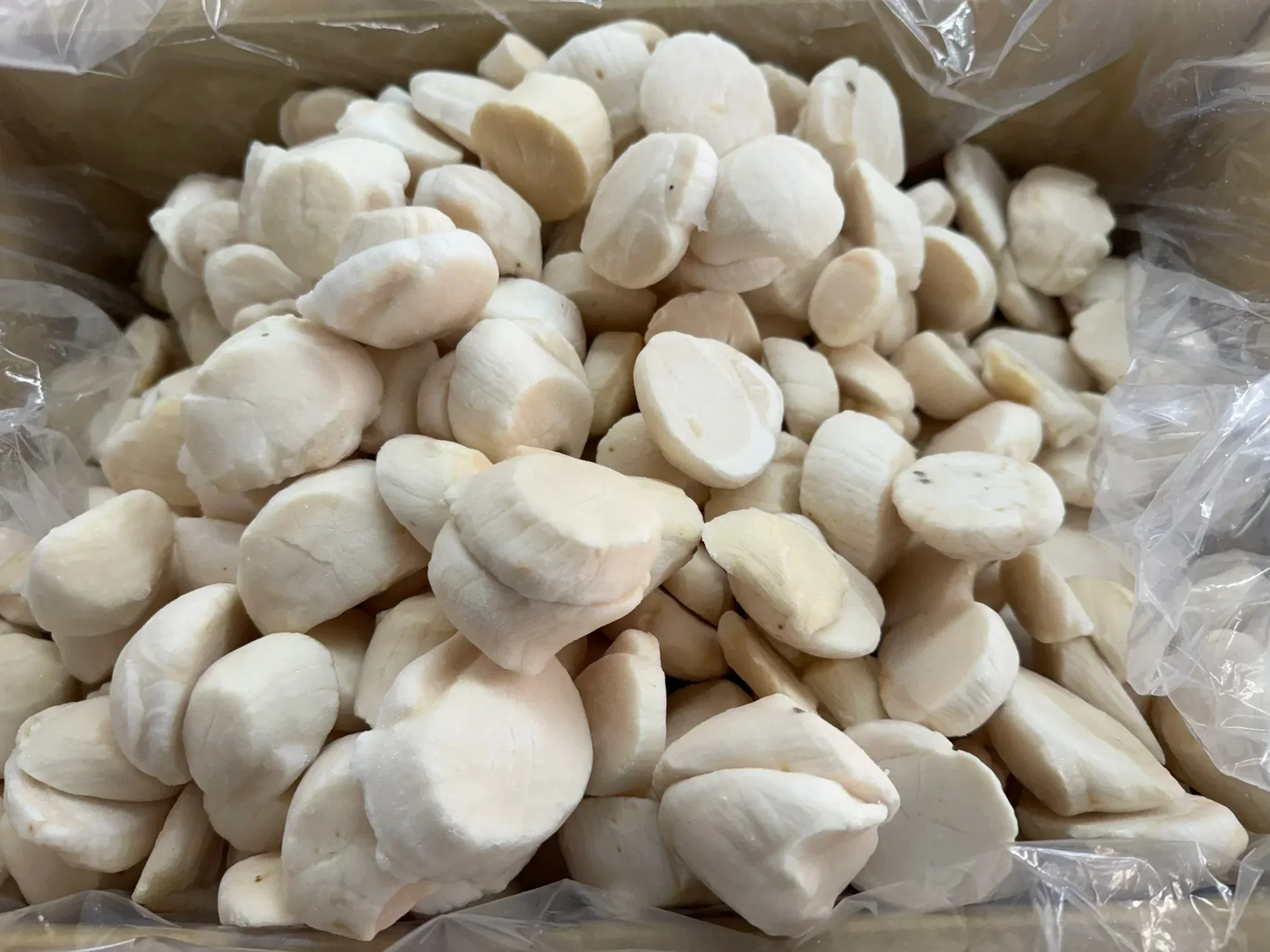 加熱用ホタテ1ｋｇ