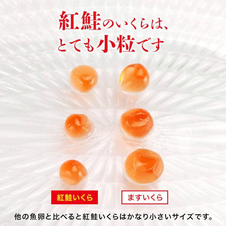 【タイムセール】最安値に挑戦！紅鮭いくら 醤油漬け 500g(250g×2P) イクラ いくら さけ 鮭 サケ 小分け 海鮮 丼 軍艦 手巻き 寿司 ちらし ikura 送料無料 冷凍便 お取り寄せグルメ 食品 ギフト 海鮮