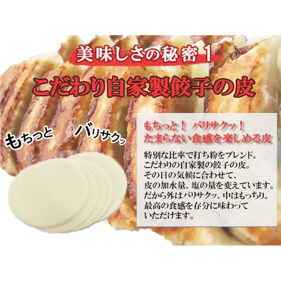 超メガ盛り！黒餃子&本餃子 約144個（黒餃子96個、本餃子48個）