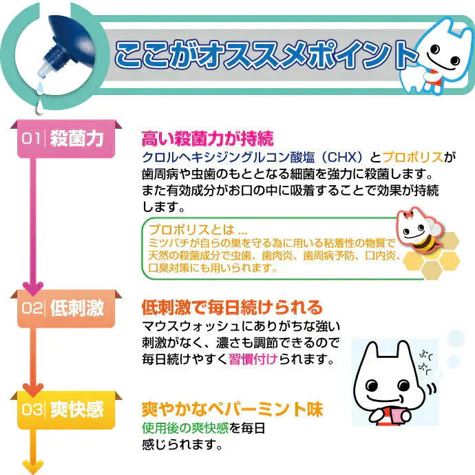 歯科専売品マウスウォッシュ オーラルクールCHX (100ml) 2本セット【医薬部外品】うがい薬 コンクールFユーザーにもオススメ【メール便送料無料】