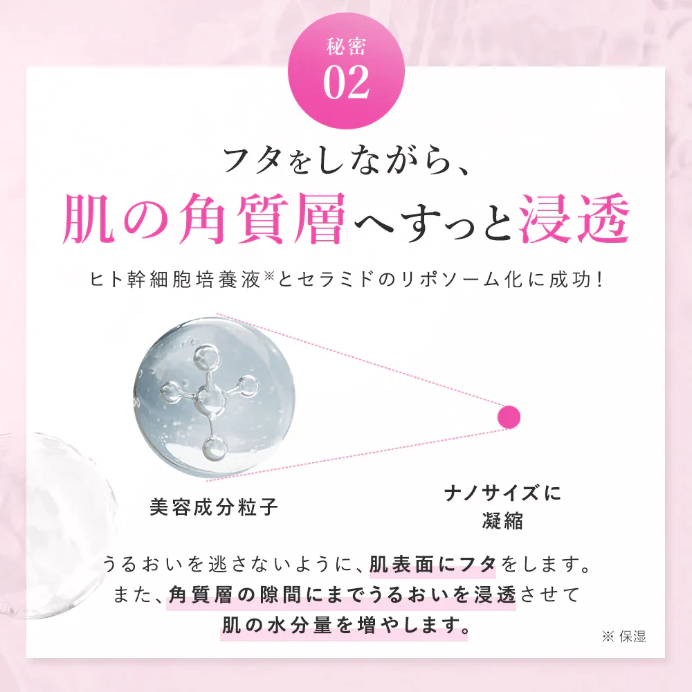 【PHOEBE BEAUTY UP  リッチモイスチャークリーム 60g】保湿クリーム フェイスクリーム 日本製