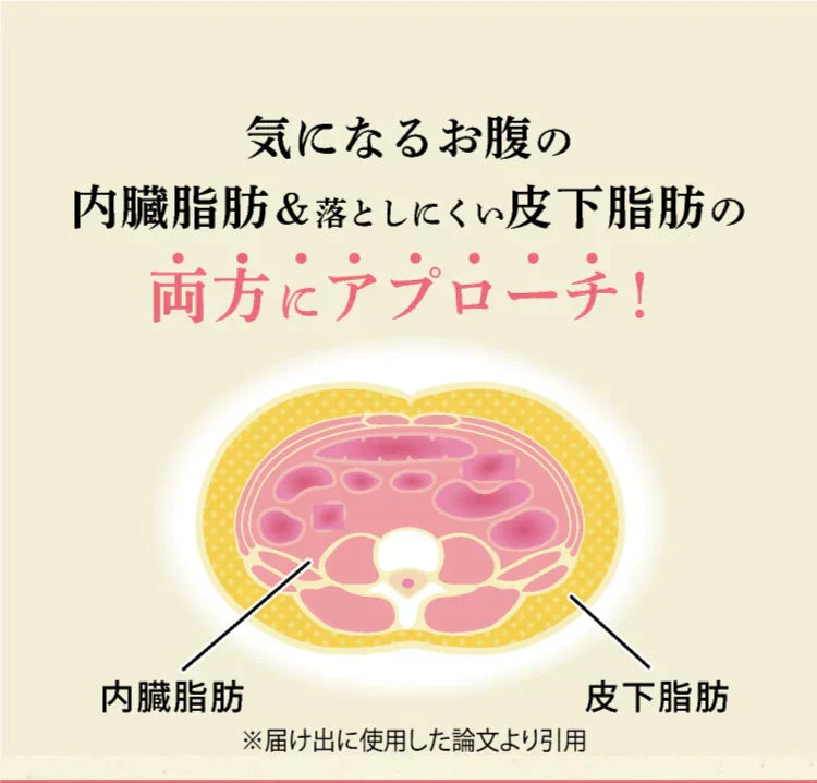 体脂肪が気になる方のプーアール茶　ヘルシーボ　30個入（ 4ｇティーバッグ ×30個入 約60～90杯分 機能性表示食品 健康茶 お茶 ローズヒップエキス ）