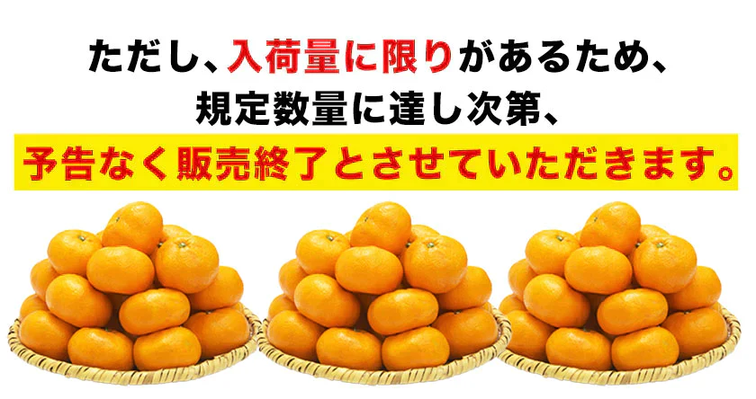 2024 福袋 みかん 福袋 送料無料 高級フルーツ 黒毛和牛 が当たるかもデコポン 干し芋 柑橘 果物 フルーツ 予約 3月上旬-3月末頃より発送予定【福袋】