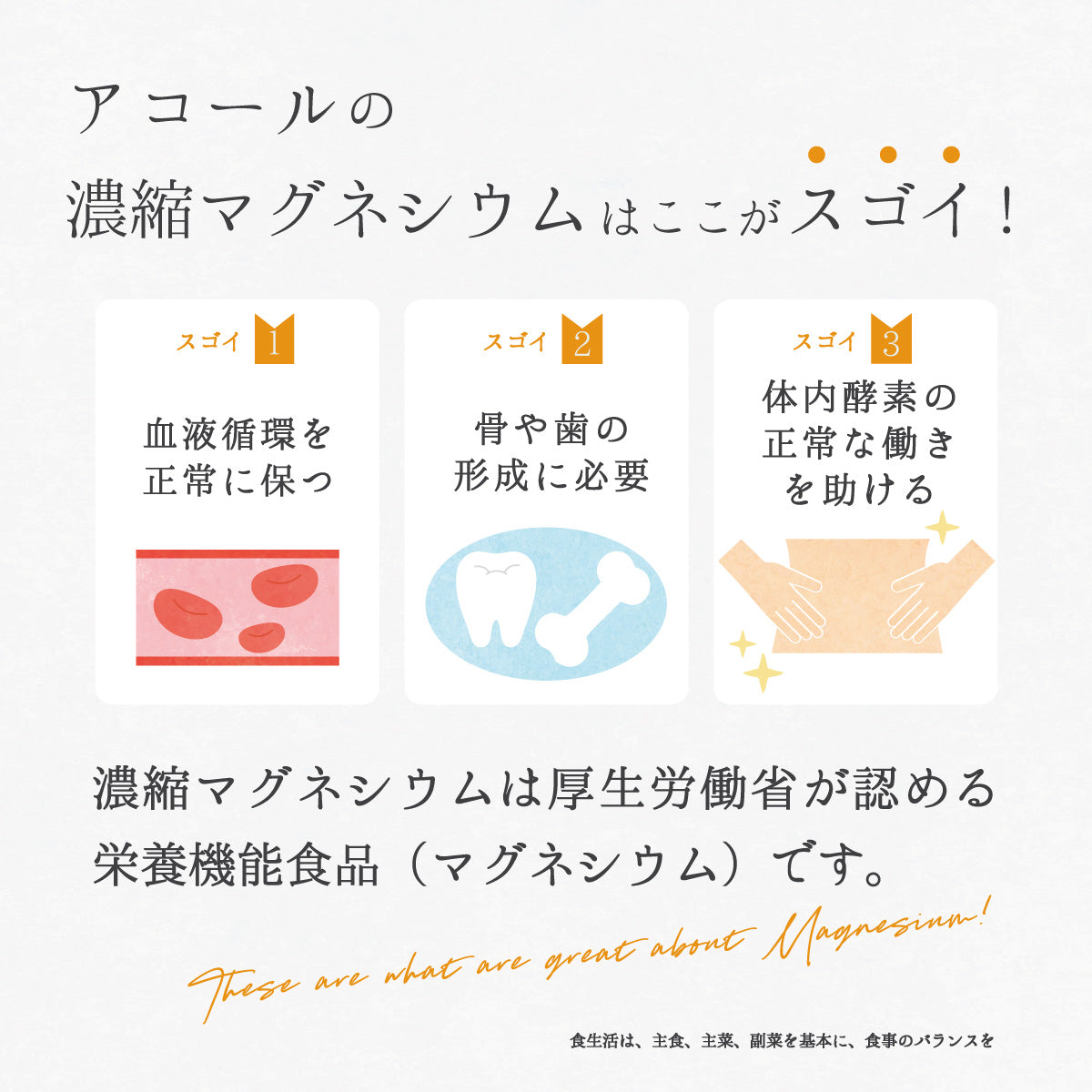 濃縮マグネシウム 500ml 2本