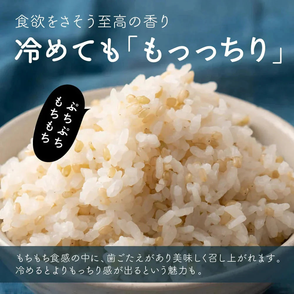 雑穀 雑穀米 国産 緑米 4kg(400g×10袋) 徳用サイズ 無添加 無着色 送料無料 古代米 みどりまい