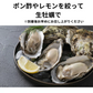 北海道 牡蠣 3Kg カキ サロマ湖産 生カキ 産地直送 生食用 殻付 カキ殻 大粒 殻 付き 牡蠣 グラタン牡蠣 北海道 お歳暮 年末 3キロ プリプリ 牡蠣 殻付き 牡蠣 ギフト 冷蔵 生きたまま 活牡蠣 かき 牡蠣 生食 紋別 冬グルメ