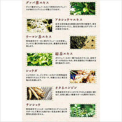 スラッと美スリム リミットダイエット 20日分×6袋 計120日分