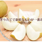 【9月中旬～下旬頃より順次出荷】梨 秋月 送料無料 秀品 約3kg 6〜10玉 熊本県産 お取り寄せ フルーツ ナシ なし 幸水 秋月 新高