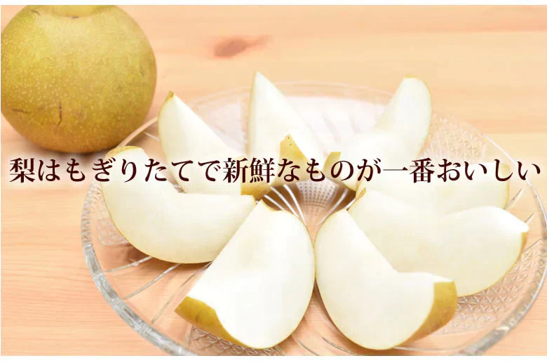 【9月中旬～下旬頃より順次出荷】梨 秋月 送料無料 秀品 約3kg 6〜10玉 熊本県産 お取り寄せ フルーツ ナシ なし 幸水 秋月 新高