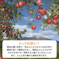 青森県産　家庭用　早生ふじ（弘前ふじ）　5kg　全国送料無料！