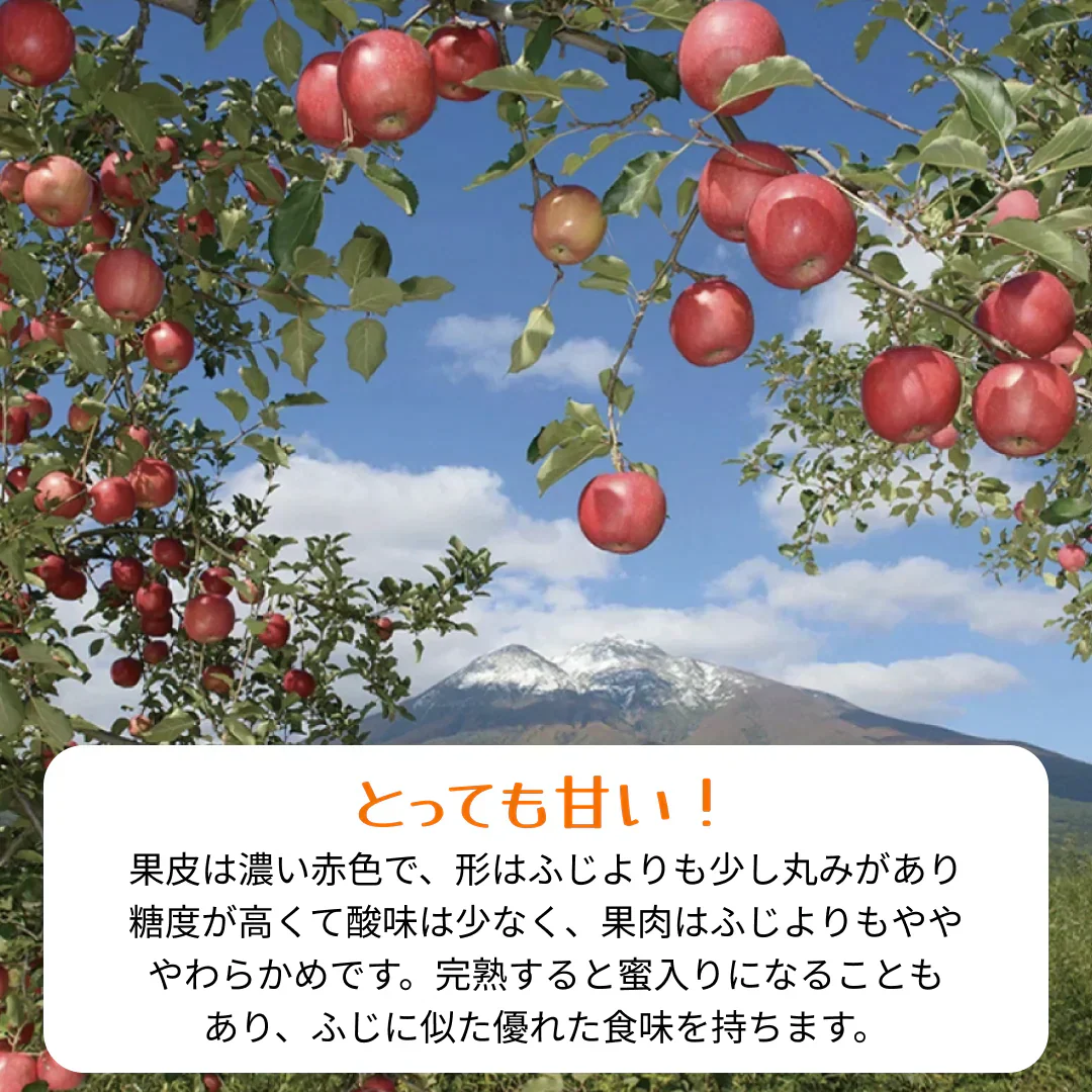 青森県産　家庭用　早生ふじ（弘前ふじ）　5kg　全国送料無料！