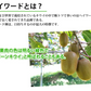 キウイフルーツ ヘイワード 送料無料 約1kg 7～14玉入り 福岡県産 グリーンキウイ フルーツ