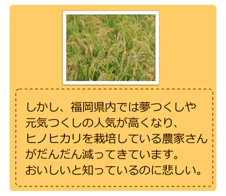 米5kg 送料無料 九州 研ぐお米 福岡県産 ヒノヒカリ 米 5kg 九州産 送料込み 令和7年産
