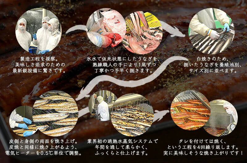 うなぎ 国産 80g×10袋 きざみうなぎ ウナギ 鰻 グルメ ［送料無料］ きざみ 刻みうなぎ 美味しい 刻み鰻 きざみ鰻 おかず 刻みウナギ きざみウナギ お取り寄せグルメ 美味しいお取り寄せ 冷凍グルメ 母の日 プレゼント ギフト  母の日思いの 健康 実用的 父の日 子供 孫