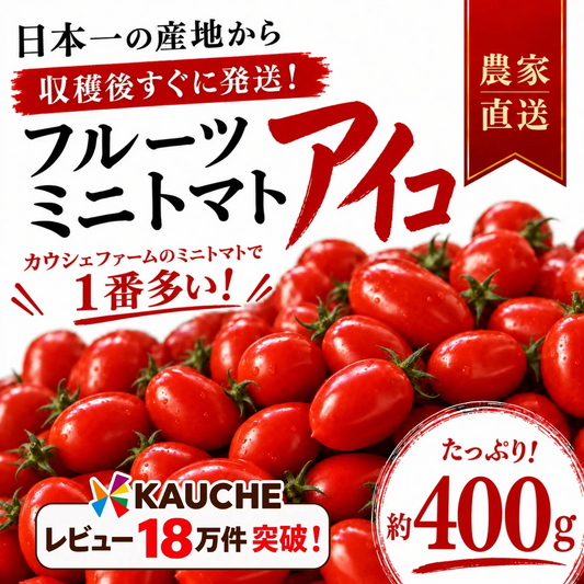 【1月から順次発送】【予約】たっぷり約400g！アイコ ミニトマト(230~250g+保証分150g)日本一の産地から農家直送 熊本県産 野菜 青果 フルーツ【カウシェファーム収穫対象商品】