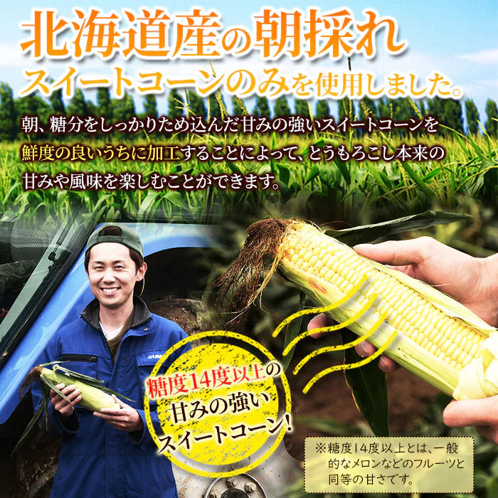北海道 スイートコーン ポタージュ 10食 ネコポス