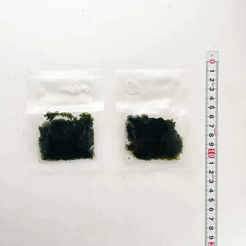 海ぶどう 5倍に膨らむ大容量 x10パック 20袋