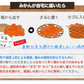 小玉 みかん 訳あり 送料無料 1.5kg 小粒 ミカン 柑橘 熊本 極早生 3s-sサイズ 家庭用 7-14営業日以内に出荷予定(土日祝除く)【ご新規さん限定商品】
