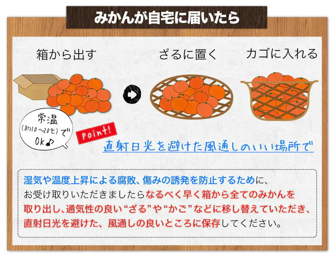 小玉 みかん 訳あり 送料無料 1.5kg 小粒 ミカン 柑橘 熊本 極早生 3s-sサイズ 家庭用 7-14営業日以内に出荷予定(土日祝除く)【ご新規さん限定商品】