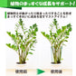 植物サポートリング 支柱 花ささえ ガーデニング 園芸 観葉植物