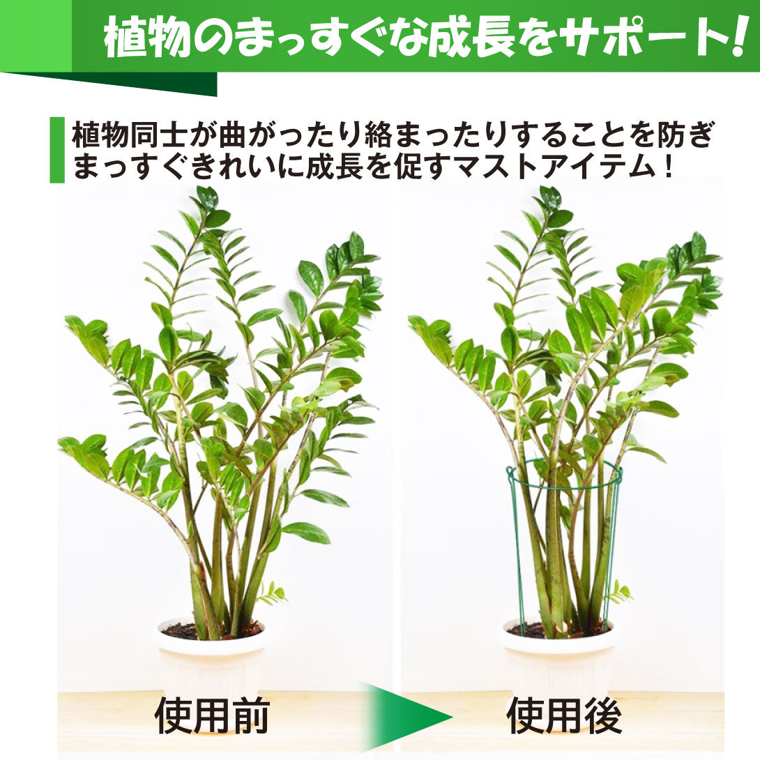 植物サポートリング 支柱 花ささえ ガーデニング 園芸 観葉植物