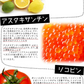 【大容量★約6ヶ月分】healthylife セサミンプラス【黒ゴマ 健康サプリ 健康 美容 スリム セサミン サプリ サプリメント 女性 タブレット ビタミンE 亜麻仁油 アマニ油 コエンザイムQ10 ローヤルゼリー アスタキサンチン ポリフェノール リコピン 白髪サプリ 約360粒  おすすめ 人気 ランキング 効果 強力 最強 通販 日本製 国産】