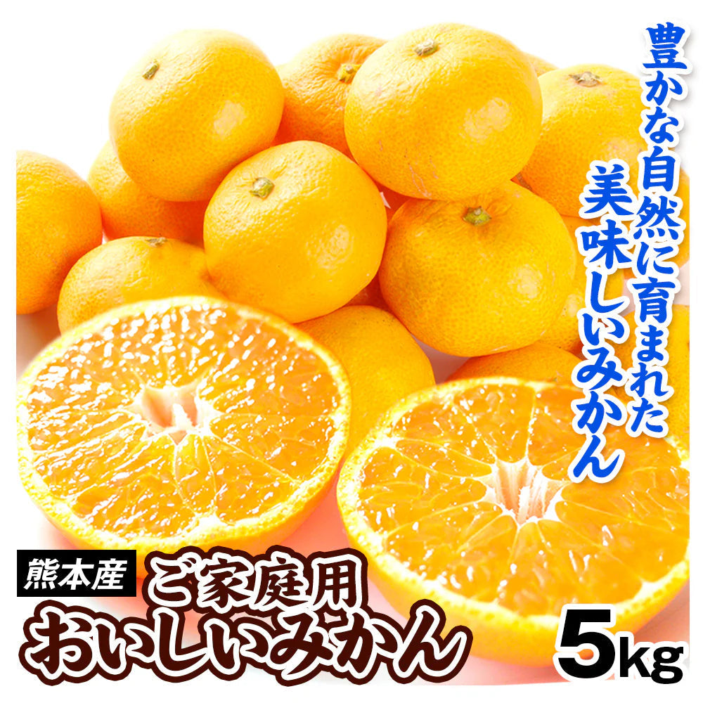 みかん　熊本産　おいしいみかん　5kg　サイズおまかせ　ご家庭用（発送予定：11月中旬より）