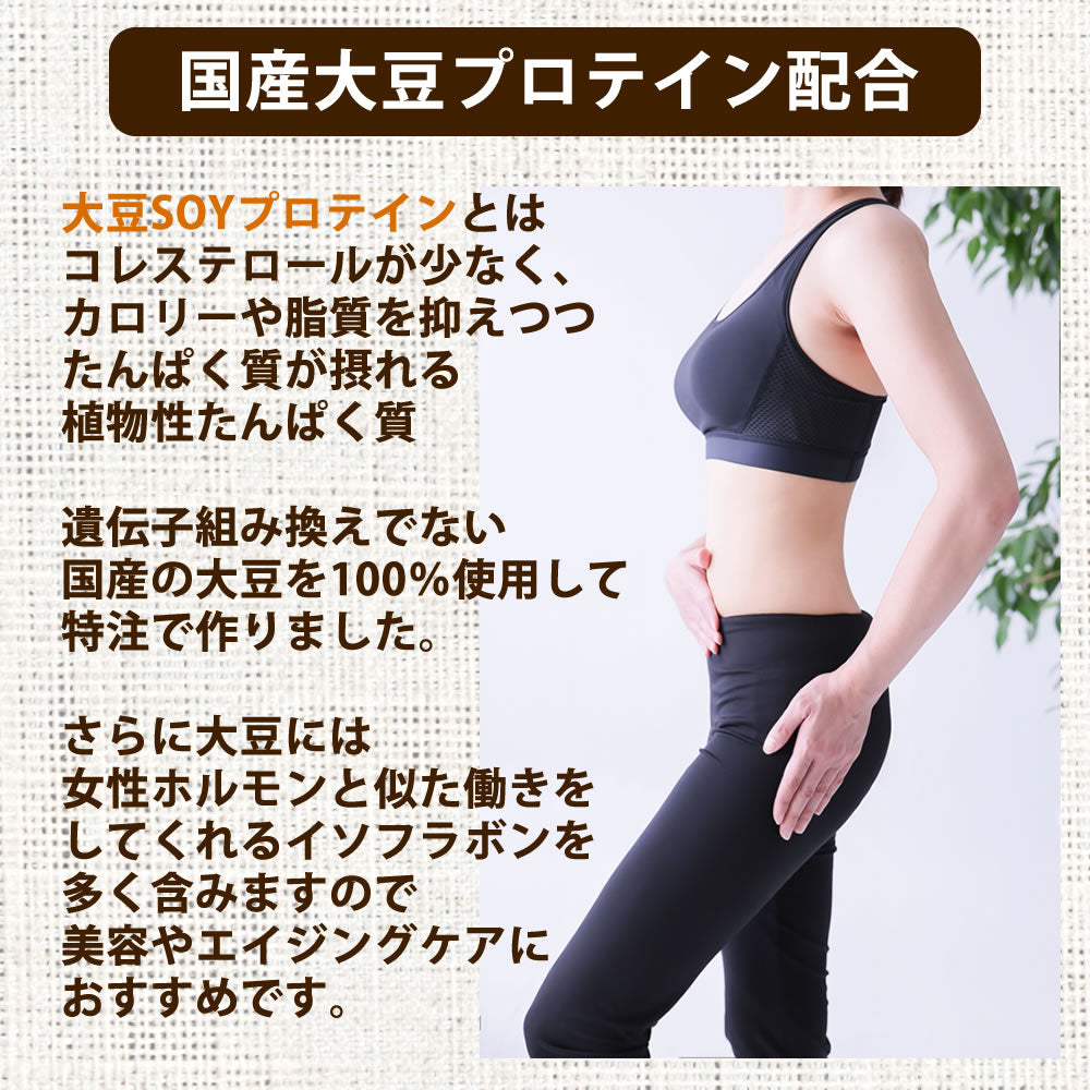 黒ごま かりんとう 大豆プロテイン配合 200g ソイプロテイン たんぱく質 ダイエット 【ゲリラセール】