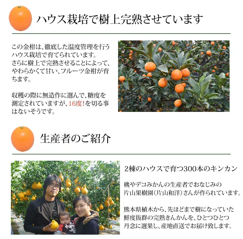 金柑 みかん 完熟フルーツきんかん 送料無料 1kg 熊本県産 ハウス栽培 柑橘