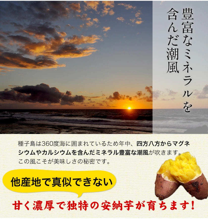 【熊本コレクション】種子島産 訳あり 安納芋 4kg 送料無料 さつまいも  サイズ大中小不揃 希少 《3-7営業日以内に発送予定(土日祝日除く)》