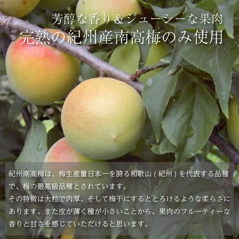【800g】紀州南高梅 つぶれ梅 Lサイズ 合計800g（400g×2袋）はちみつ味