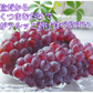 【6月下旬～7月上旬頃より順次出荷】デラウェア ぶどう 送料無料 1kg 8～10房 福岡県産 葡萄 黒ぶどう 巨峰 藤稔 ピオーネ