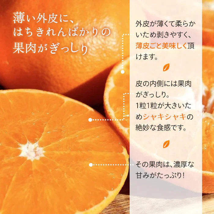 愛媛産 甘平 わけあり 2.5キロ サイズおまかせ みかん【3月上旬順次配送】