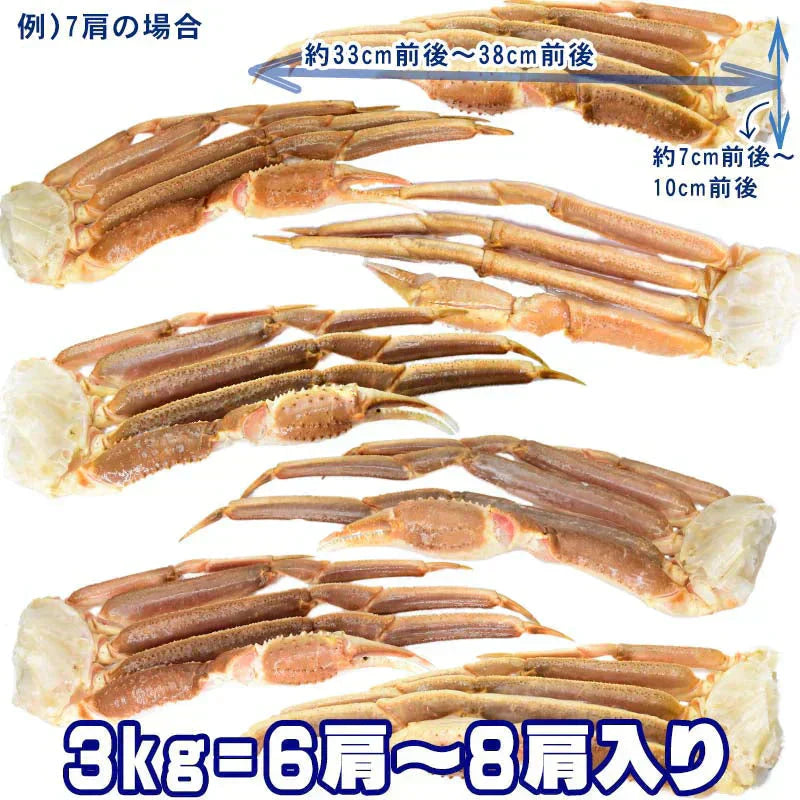 かに カニ 蟹 ズワイ 生 ズワイガニ 足(ロシア産またはアメリカ産) 3kg 5L(約6肩〜8肩入) 加熱用 鍋セット バーベキュー 材料 BBQ 送料無料 ギフト