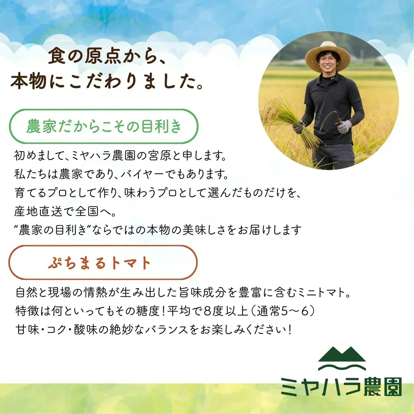 【１番早く届く！】【10月中旬頃〜12月末日までに発送】【予約】１番多い約450g！ぷちまるトマト(280~300g+保証分150g)日本一の産地から農家直送 熊本県産 野菜 青果 フルーツ ミニトマト【カウシェファーム収穫対象商品】