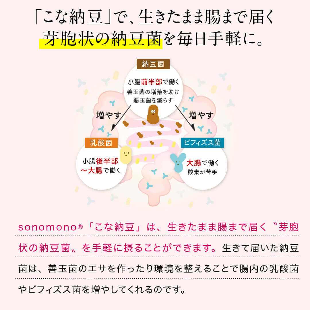 【送料込】こな納豆 / 匂い粘りひかえめ(18g×2個) 完全無添加 国産納豆パウダー 離乳食や食事にかけるだけで栄養アップ 納豆菌で手軽に腸活