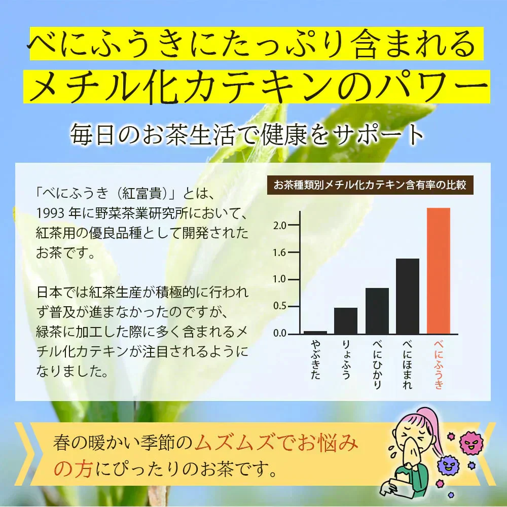 べにふうき茶 ペットボトル 350mlx24本 高濃度 メチル化カテキン 緑茶 農水大臣賞・日本農業賞受賞 静岡県産 べにふうき 花粉対策 花粉症 お茶