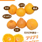 デコポン 同品種 デコみかん 訳あり 送料無料 ハウス栽培 1.5kg みかん 熊本県産 不知火 ミカン 蜜柑