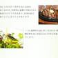 ＤＨＡ＋ＥＰＡ オメガ3系α-リノレン酸 亜麻仁油 《約1ヶ月分》 サプリ サプリメント 健康 オメガ3 リノレン酸 えごま油 亜麻仁油 ドコサヘキサエン酸 ロズマリン酸 ルテオリン