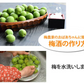 【6月上旬～中旬頃より順次出荷】南高梅 梅 送料無料 秀品 1.5kg クール便でお届け 熊本県産 最高級品種 ウメ 梅酒 フルーツ