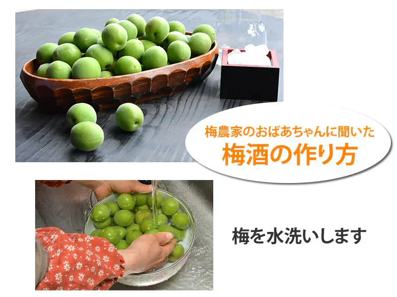 【6月上旬～中旬頃より順次出荷】南高梅 梅 送料無料 秀品 1.5kg クール便でお届け 熊本県産 最高級品種 ウメ 梅酒 フルーツ