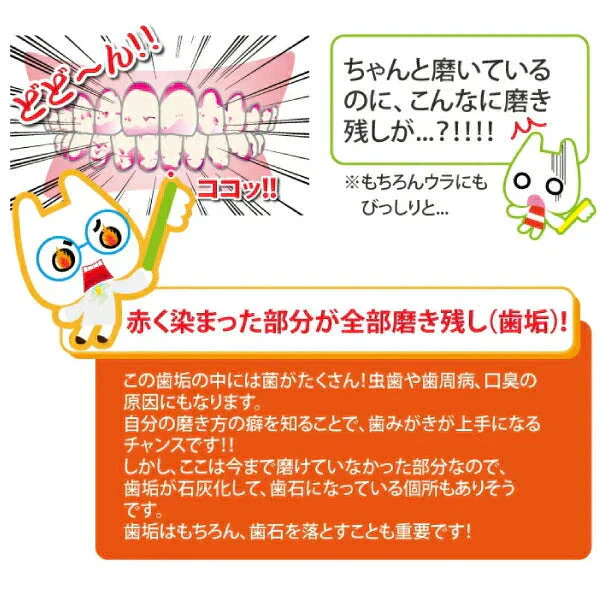 ヤニ取り＆歯石取り＆歯垢取りホームケア3点セット《スケーラー H5-33 1点・検診専用ミラー1点・Ciプラークチェッカー(歯垢染色液)ミニボトル(5ml)1点》【メール便送料無料】